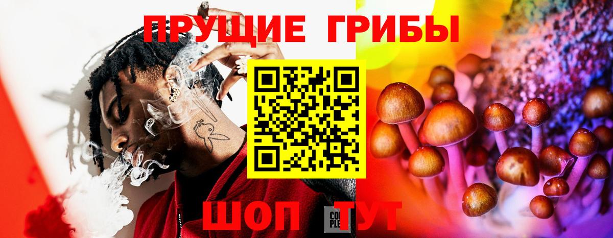 Галлюциногенные грибы Cubensis Сорочинск