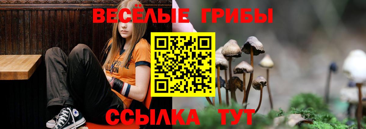 Сорочинск  Псилоцибиновые грибы прущие грибы  Вход с VPN 